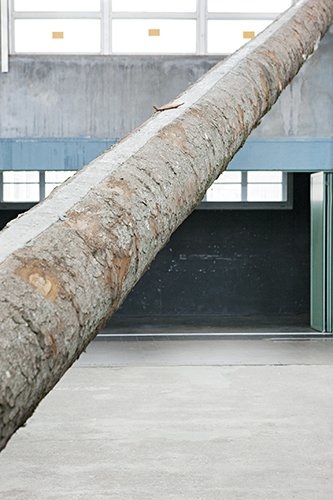 Tarik Hayward, Charge utile, Sapin blanc, béton, 2013