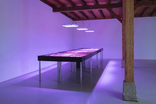 Brigham Baker, Imbedded Landscape, Plattform 16,