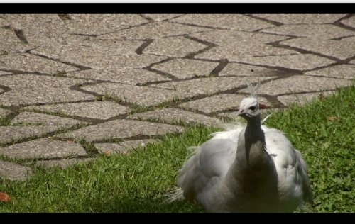 Sag noch mal, Film, 20', 2011