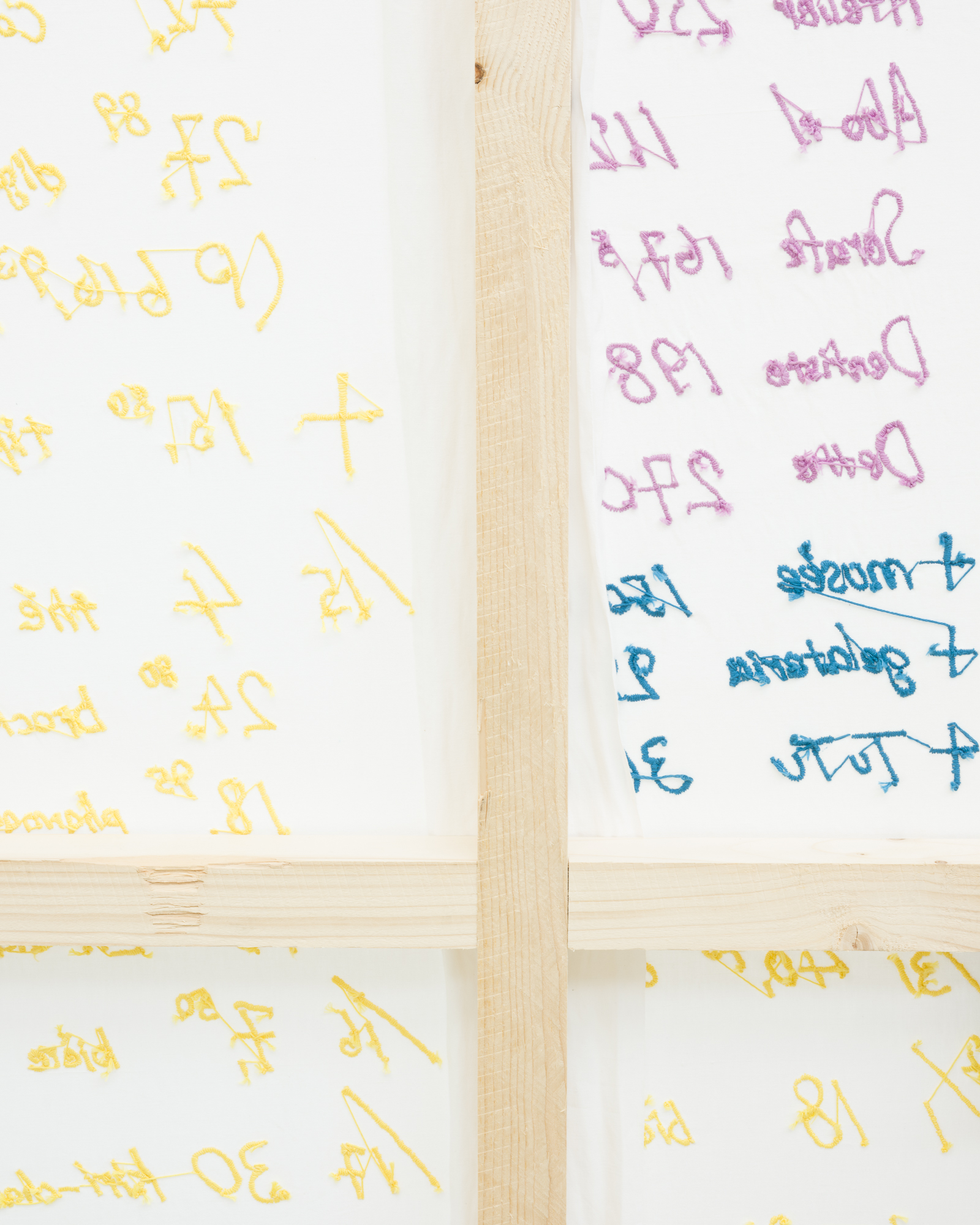 Anna Kawahara, Plattform25, exhibition view, Centre d’art Neuchâtel, 2025. Photo: Sébastien Verdon.