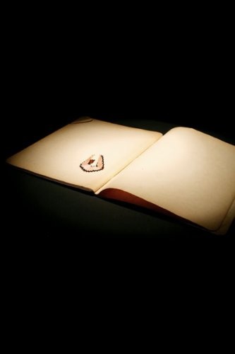 The Spectator, (Still), 2007