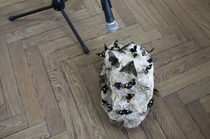 Sonomorphies, 2017–2018 (detail)