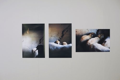 Idea Nr. 123, Digitale C-Prints, 2010