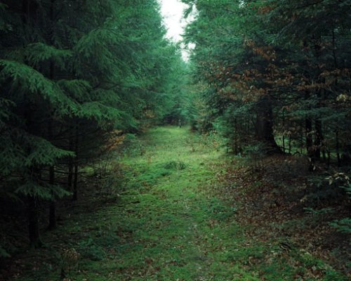 Grenze/Frontière/Frontiera/Cunfin, Inkjet-Print 120 × 150cm, 2008