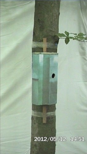 Prime Tower, Film, 45 min., 2012