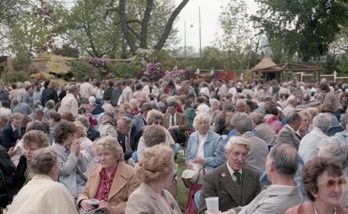 Dijan Kahrimanovic, Gefundenes und eingescanntes Negativ, 2015