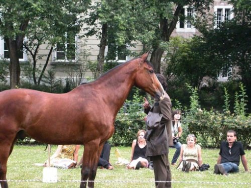 Urbicus, Performance, Kunstmuseum Solothurn, 2008