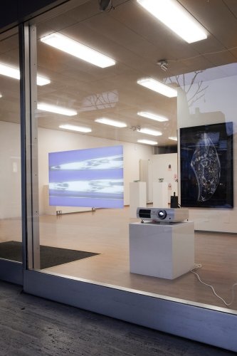 Installationsansicht, Haus Zentrum Zug, 2011