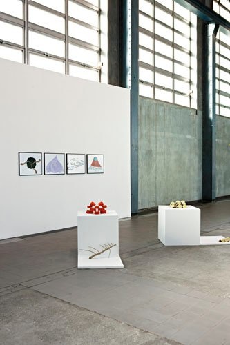 Sans titre/Artificialia VI-VIII, Vue d'installation, 2011