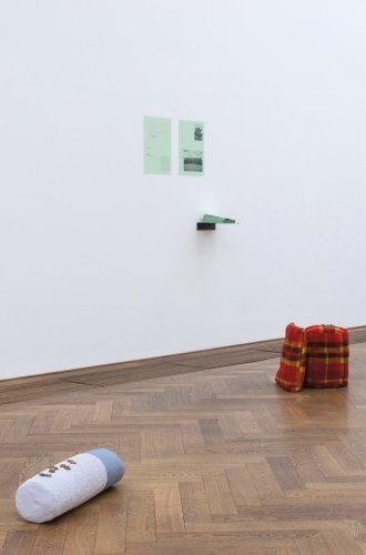 pet, bronze, used covers and towels from different dogs/dog owners, 2012