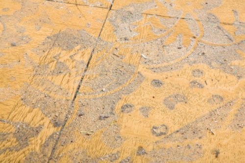 Tapis de poussière, "Huit Clos", Palais de l'athénée Genève, 2008