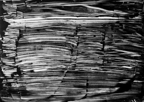Sans titre, Monotype, 30 x 40 cm, 2009