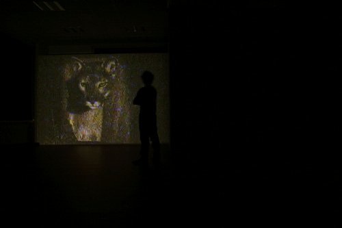 Couverture, Vidéo (projection), 2008