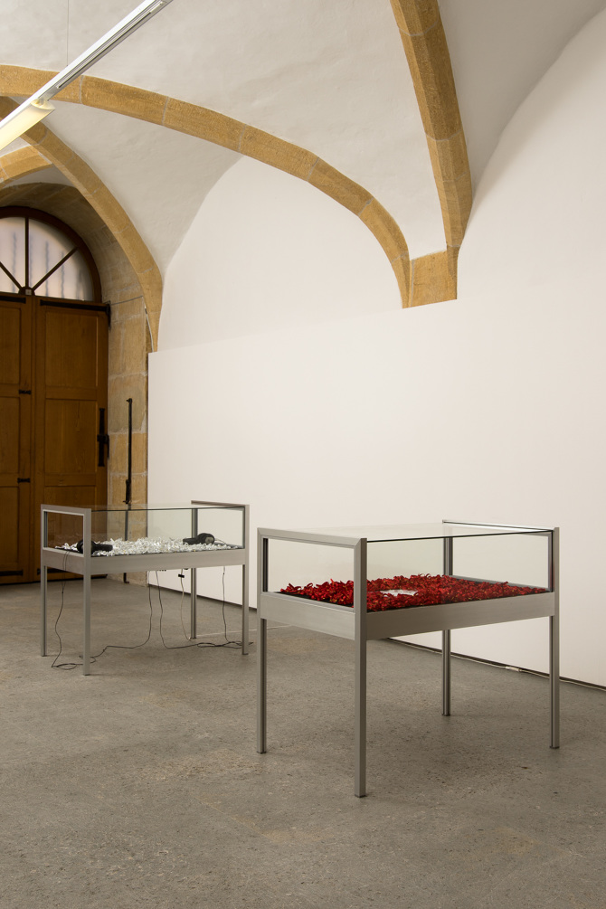 A Story of Love and Violence, Ausstellungsansicht / vue de l'exposition Plattform19, 2019
© Nico Müller_P19