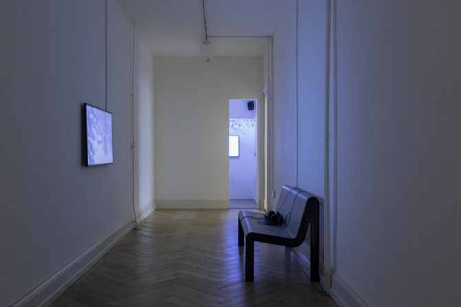 Phenomena, Plattform22 at Kunsthalle Palazzo Liestal, 2022