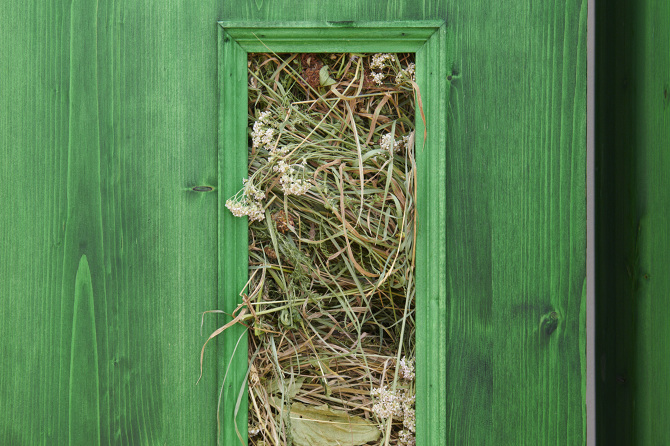 Embarcação (Watercraft), Plattform20, 2020
© Guillaume Python_Fri Art 2020