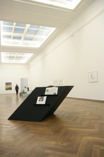 Curated Sculpture #2 - John Beeson „...
CONTINUE TO HAVE ITS INFLUENCE…”,
mit Luiz Albisser, 2010