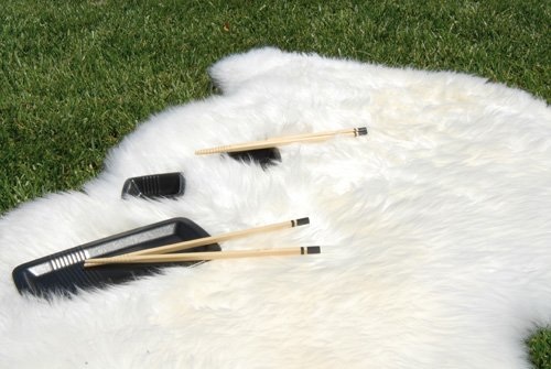 Picknick, Bärenfell und Asiabesteck auf Wiese, 110 × 85 cm, Fotografie, 2009