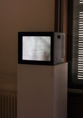 Haut, 08:31 (loop), in der Ausstellung "Villa mit Merblick", 2011