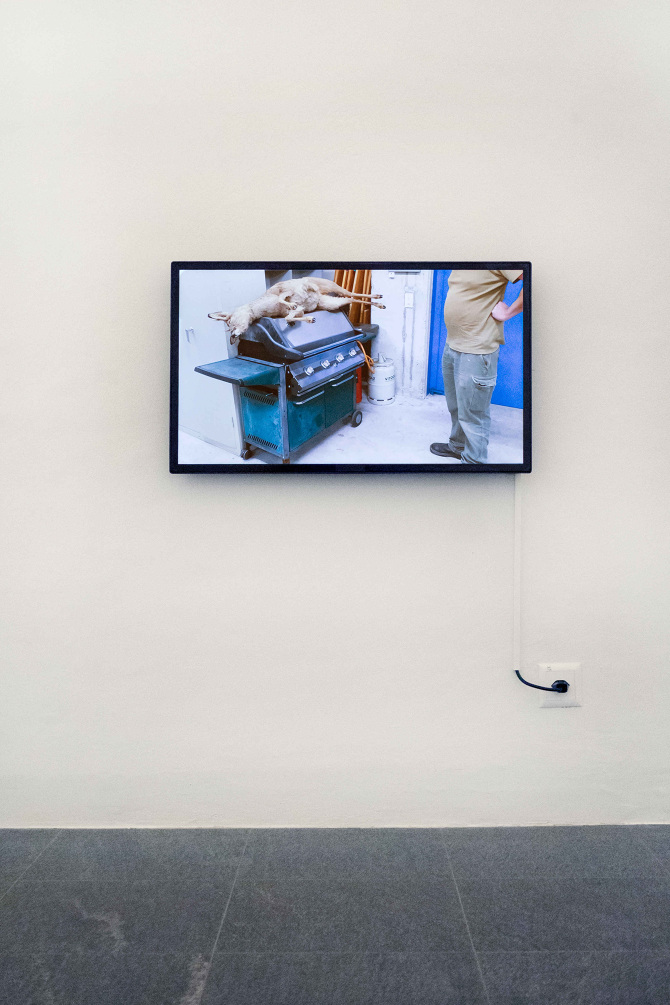 Jeder Jäger träumt von einem Reh, Plattform21 at MASILugano, 2021
Photo credits: Mattia Angelini