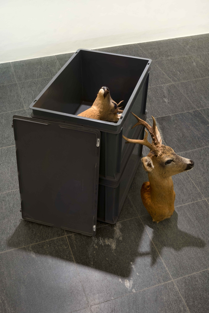 Jeder Jäger träumt von einem Reh, Plattform21 at MASILugano, 2021
Photo credits: Mattia Angelini