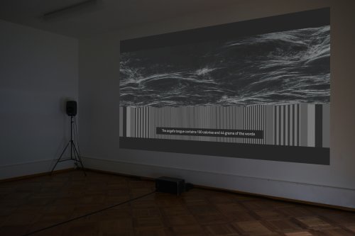 Pech, Ausstellungsansicht, Centre PasquArt, Biel, 2015