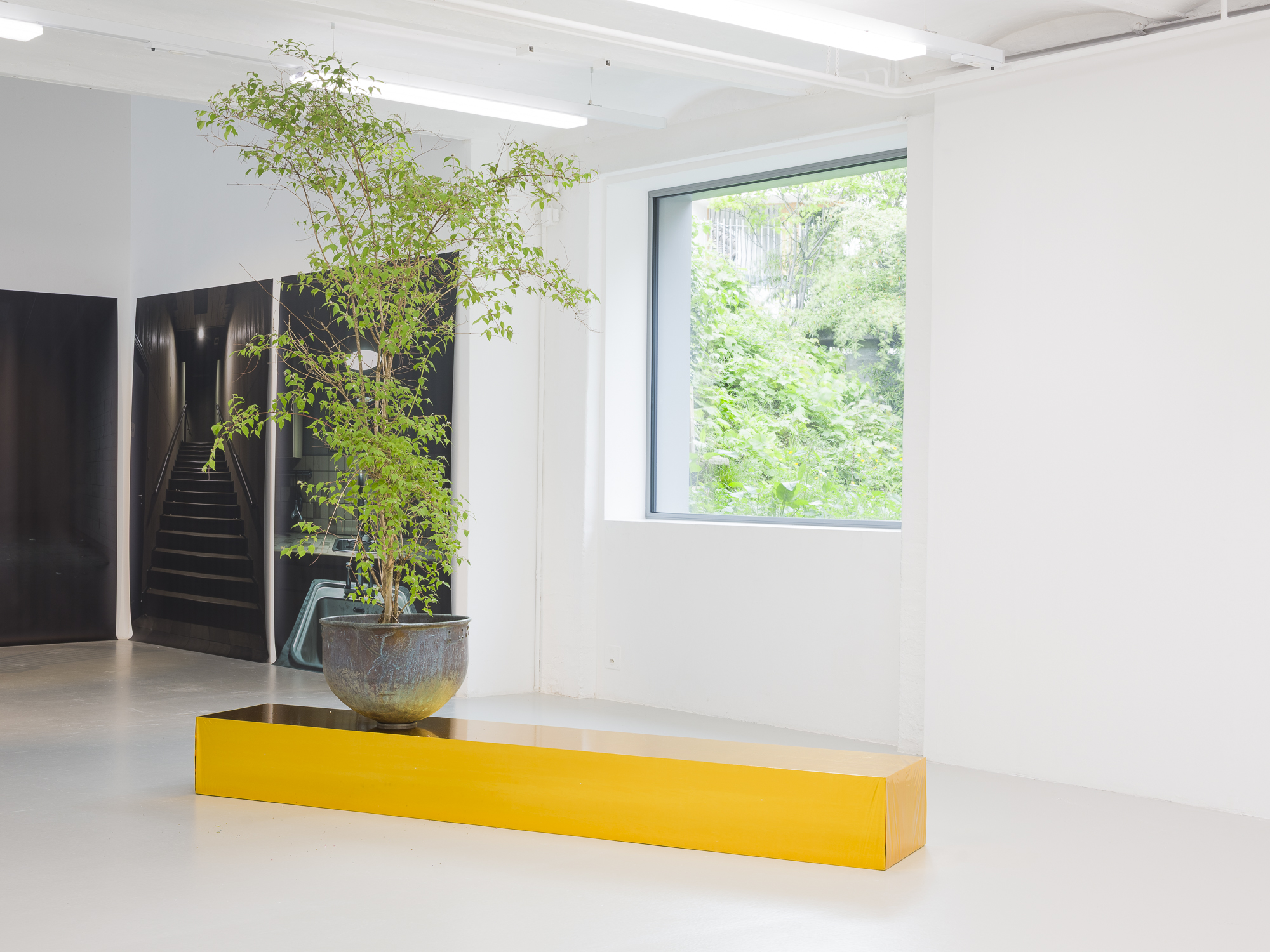 Sophie Nadler und Etienne Eisele, Plattform25, exhibition view, Centre d’art Neuchâtel, 2025. Photo: Sébastien Verdon.