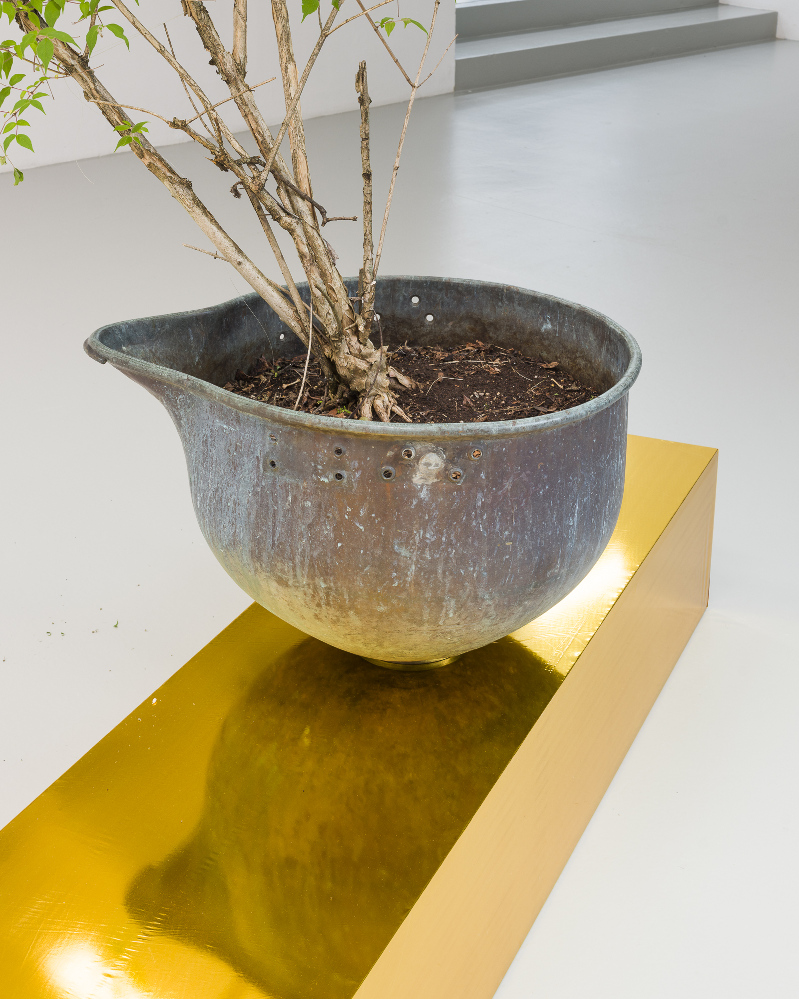 Sophie Nadler und Etienne Eisele, Plattform25, exhibition view, Centre d’art Neuchâtel, 2025. Photo: Sébastien Verdon.