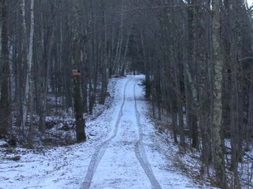 Camp David, Video, 2007/08