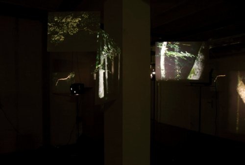 Forêt épileptique, Plattform07, 2007