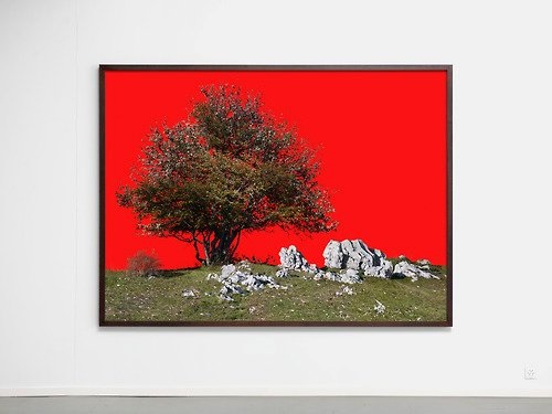 L'émeute du détail, Photographic print, collaboration with Körner Union, 2009