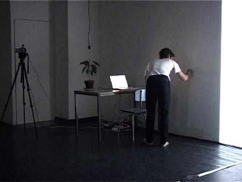 sofern, Performance (20"), Max/MSP/Jitter, Processing, 2010