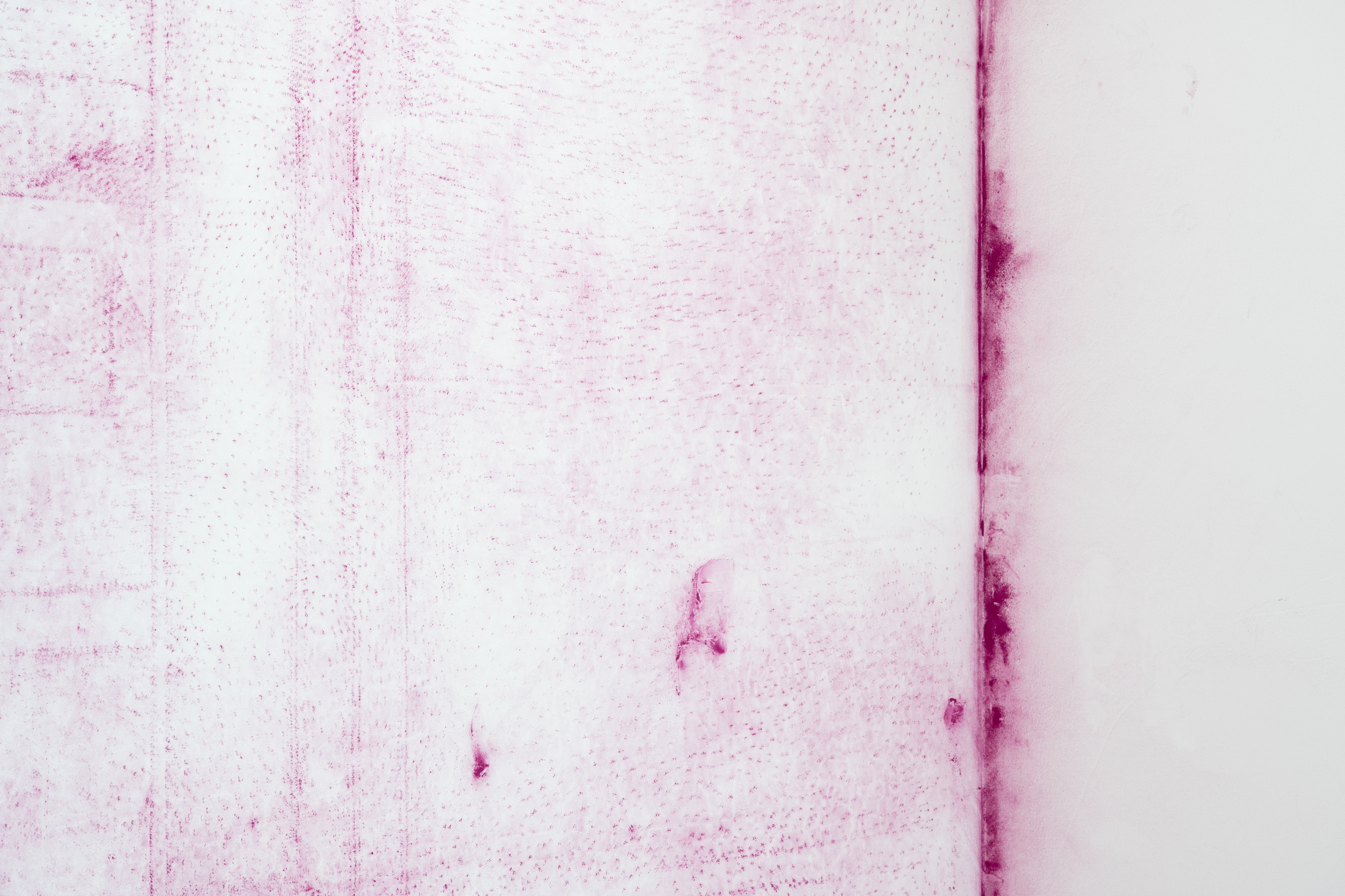 Ludovico Orombelli, *Sinopia* (Detail), 2026. Pigment on wall, Dimensions variable. Photo: Finn Curry.